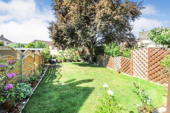 Garden pic 2