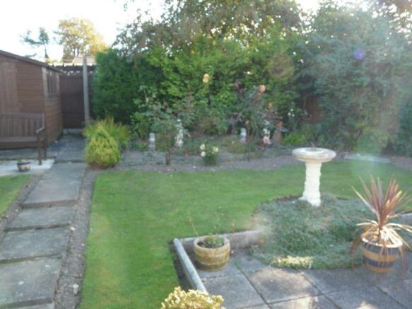 Photo 3