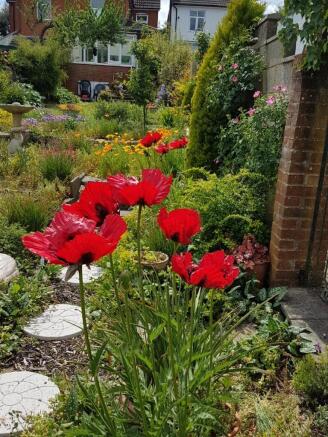 Garden4
