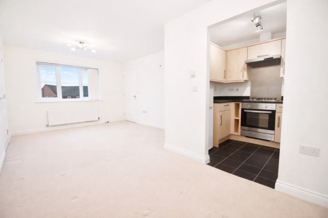 ChatGPT Image Mar 2, 2026, 11_56_42 AM