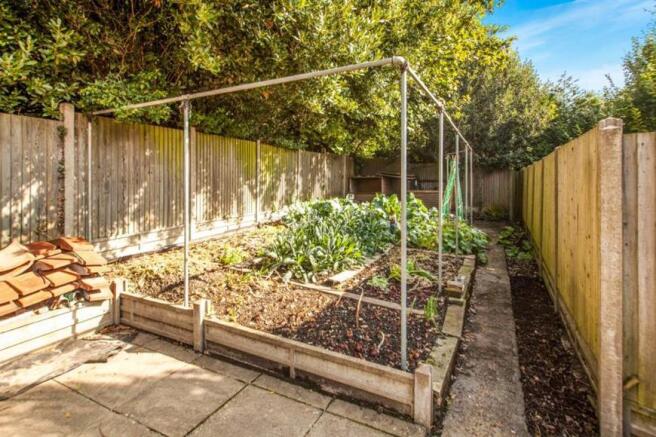 Veggie Patch