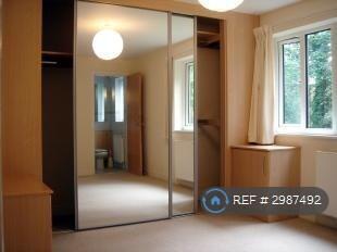 2 bed Flat to rent Image 6