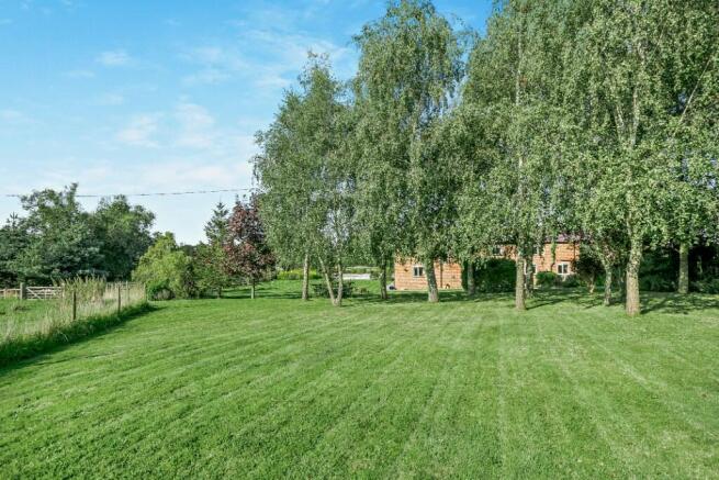 Lawn