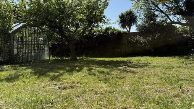 NEW GARDEN 3.jpg