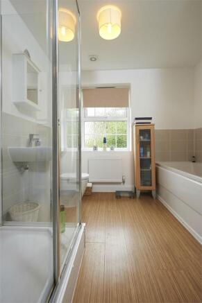 photo6