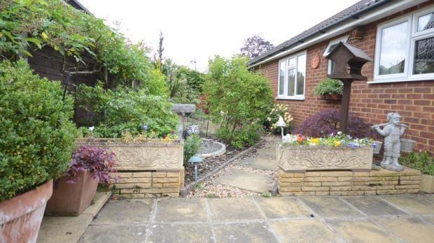 Patio Area