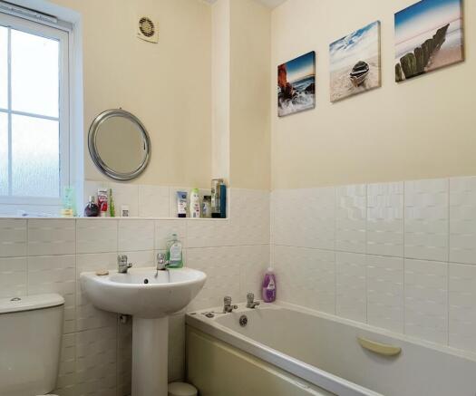 Picture 8