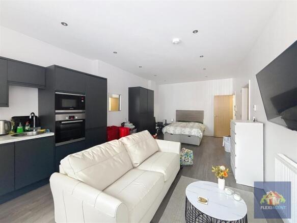 Living/Kitchen/Bedroom