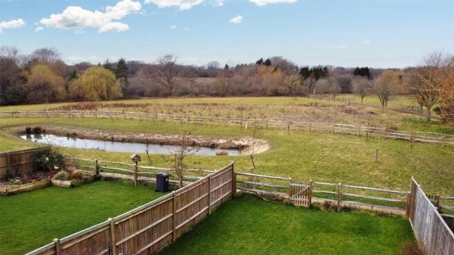 Pond & View