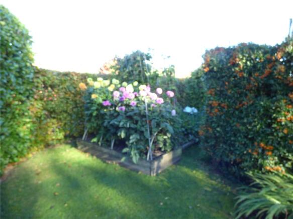 Picture No. 51