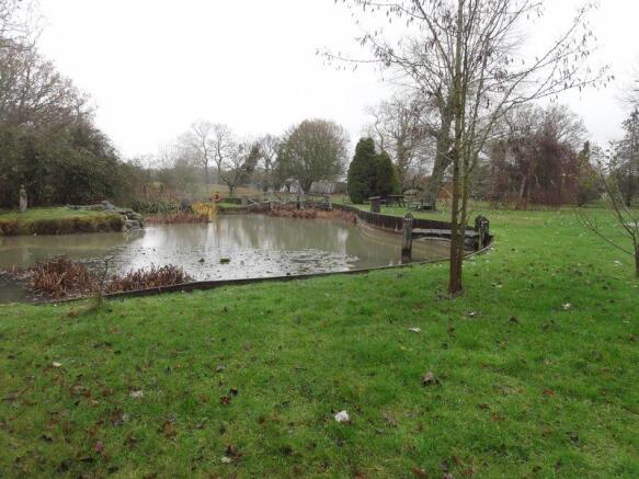 Pond Shot 2