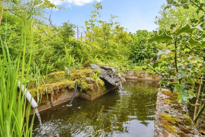 Pond