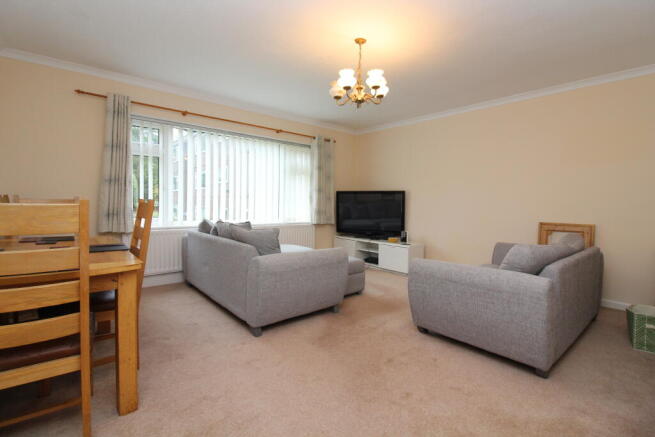 IMG 6912 T202510201208.jpg