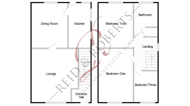 Mold - watermark (2).jpg