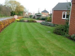 Front gardens