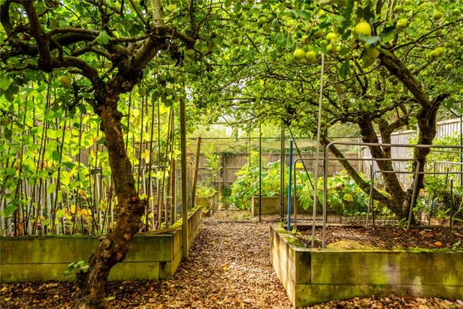 Kitchen Garden
