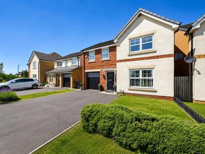 Dalton Wynd, Spennymoor, Durham, DL16