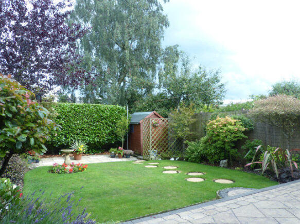 Photo 12