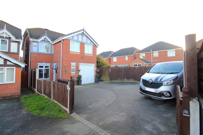 Plot View