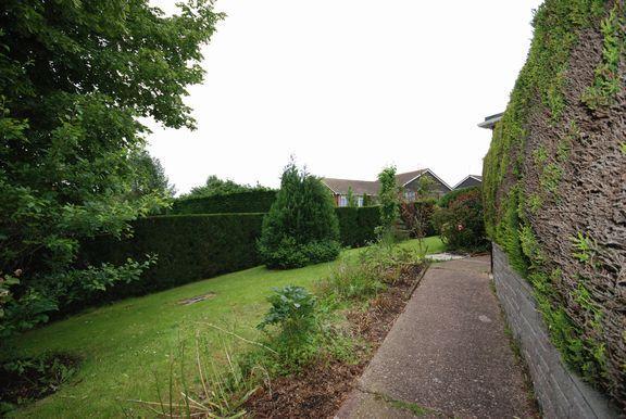 Garden 2