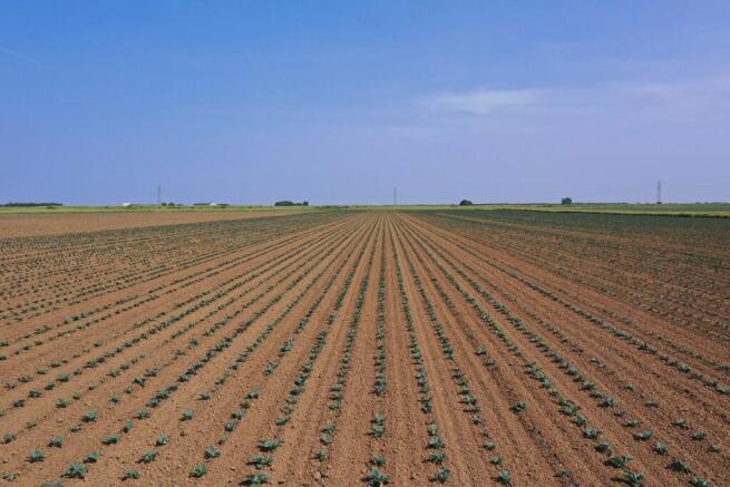 DJI_0359 L3 crop