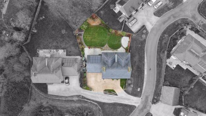 Plot View