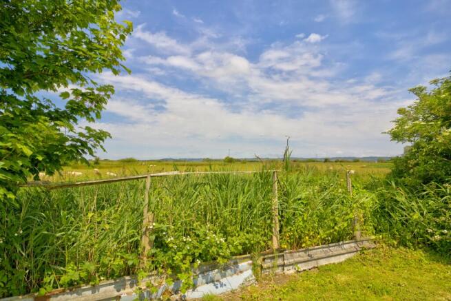 Rear garden views