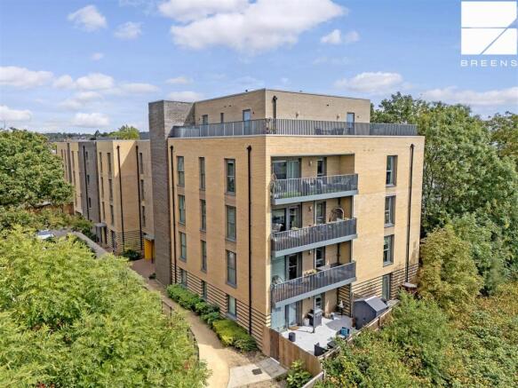 dji_20250417054810_0768_d copy.jpg