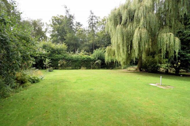 garden 3