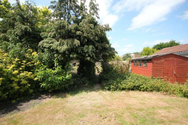 garden1.JPG