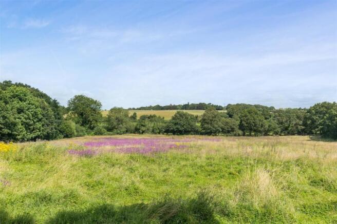 Meadow