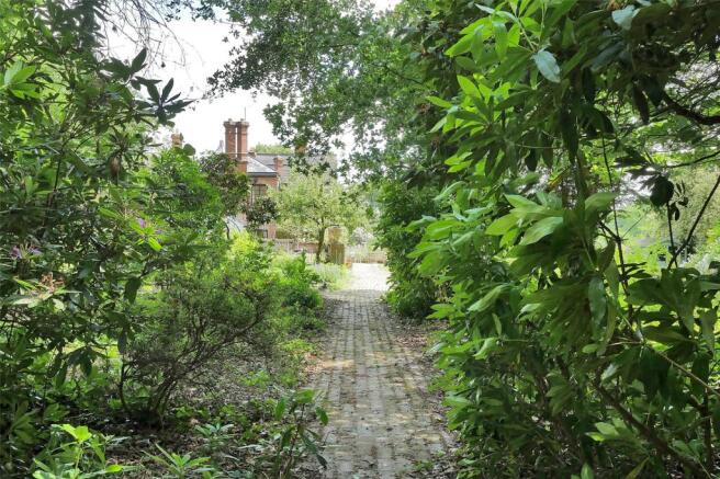 Woodland Path