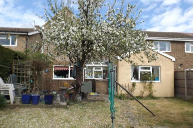 Rear of House