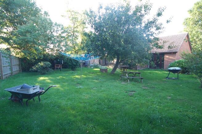 Photo 15