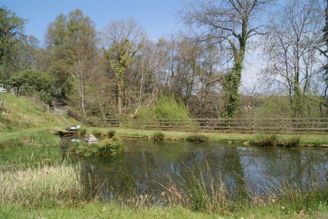 Pond
