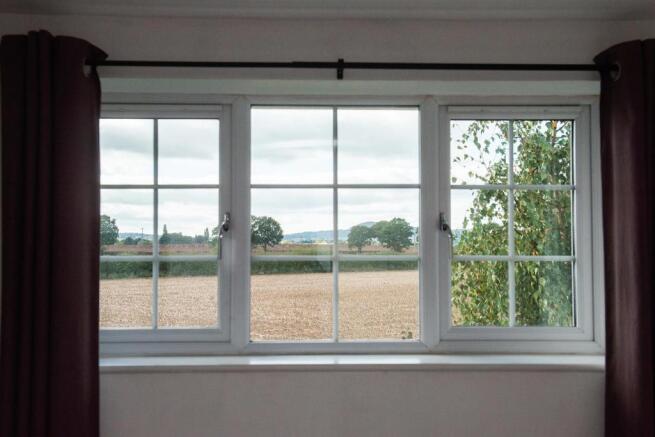 view from window.jpg
