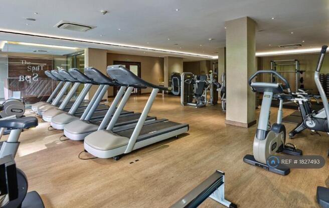 Gym Room