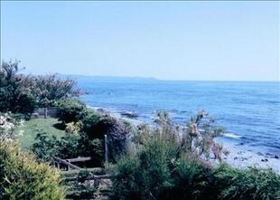 The Beach