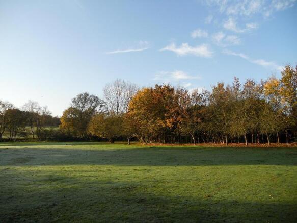 Grounds