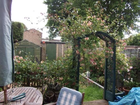 Garden 1