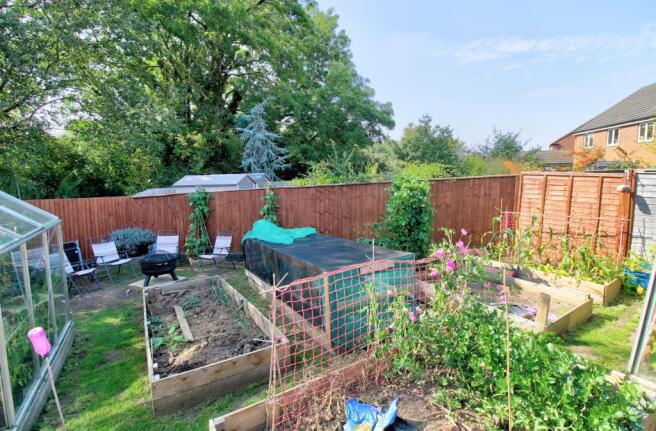 Allotment photo two
