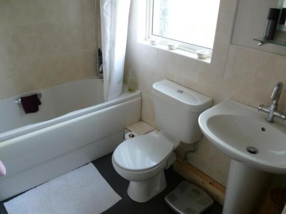 Image 11