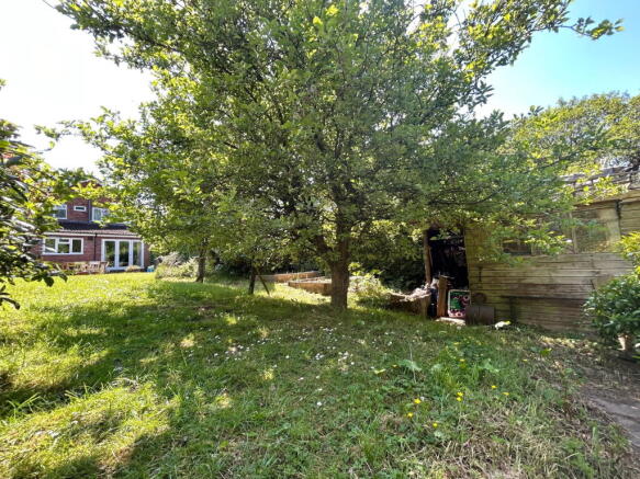 Photo 32