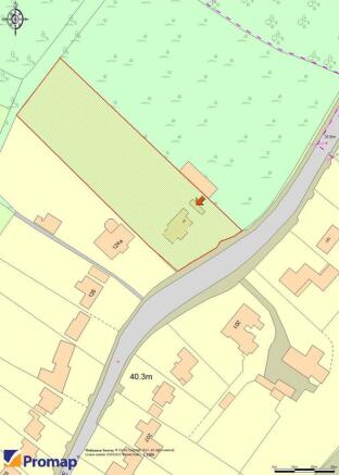 Promap Image.jpg