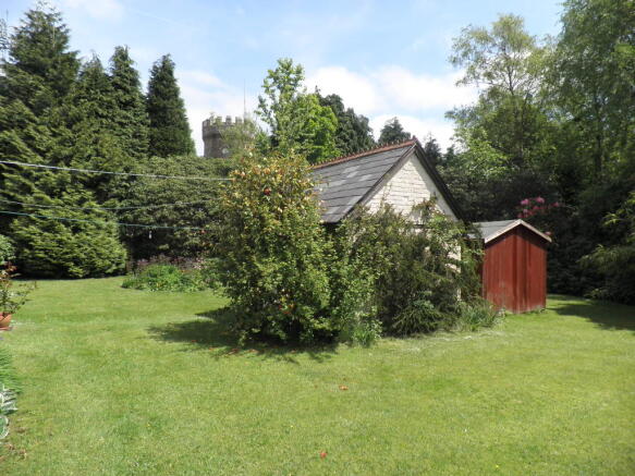 Photo 7