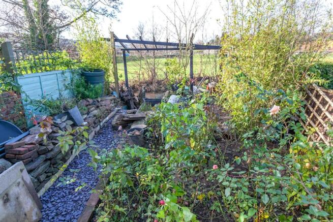 Garden 2.jpg