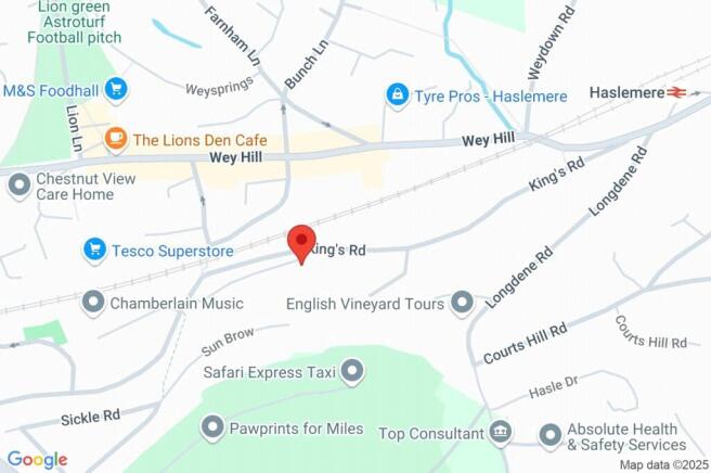 Google Maps Image