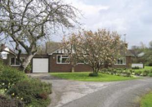 Front from road