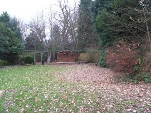 Garden 1