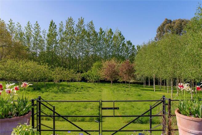 Grounds